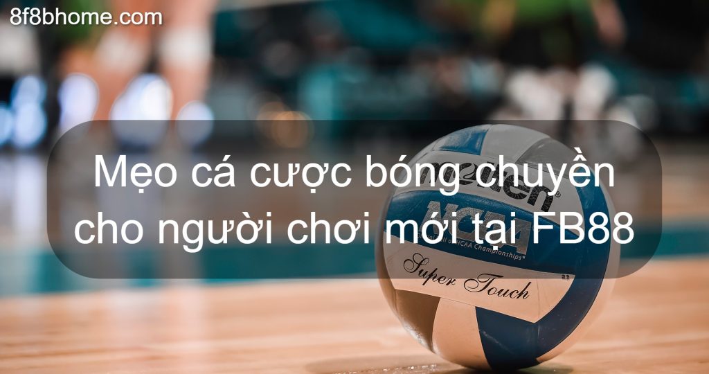 Mẹo cá cược bóng chuyền cho người chơi mới tại FB88