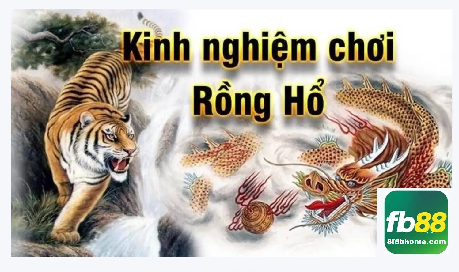 Kinh nghiệm chơi Rồng hổ