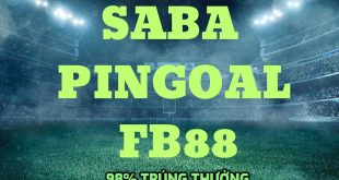 Tiết lộ cách cá cược SaBa PinGoal 98% trúng thưởng