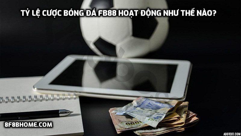 Tỷ lệ cược bóng đá FB88 hoạt động như thế nào?