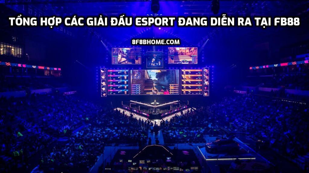 Tổng hợp các giải đấu Esport đang diễn ra tại FB88