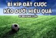 Bí Kíp Đặt Cược Kèo Dưới Hiệu Quả