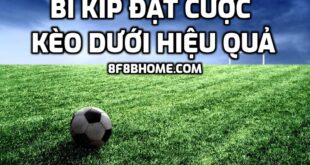 Bí Kíp Đặt Cược Kèo Dưới Hiệu Quả