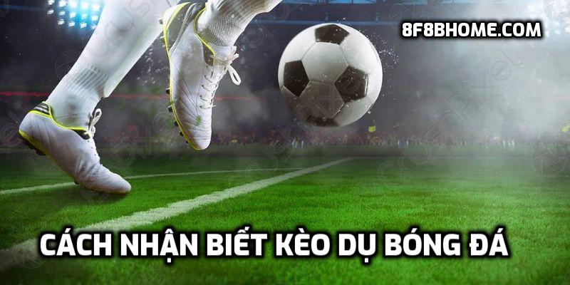 Cách nhận biết kèo dụ bóng đá