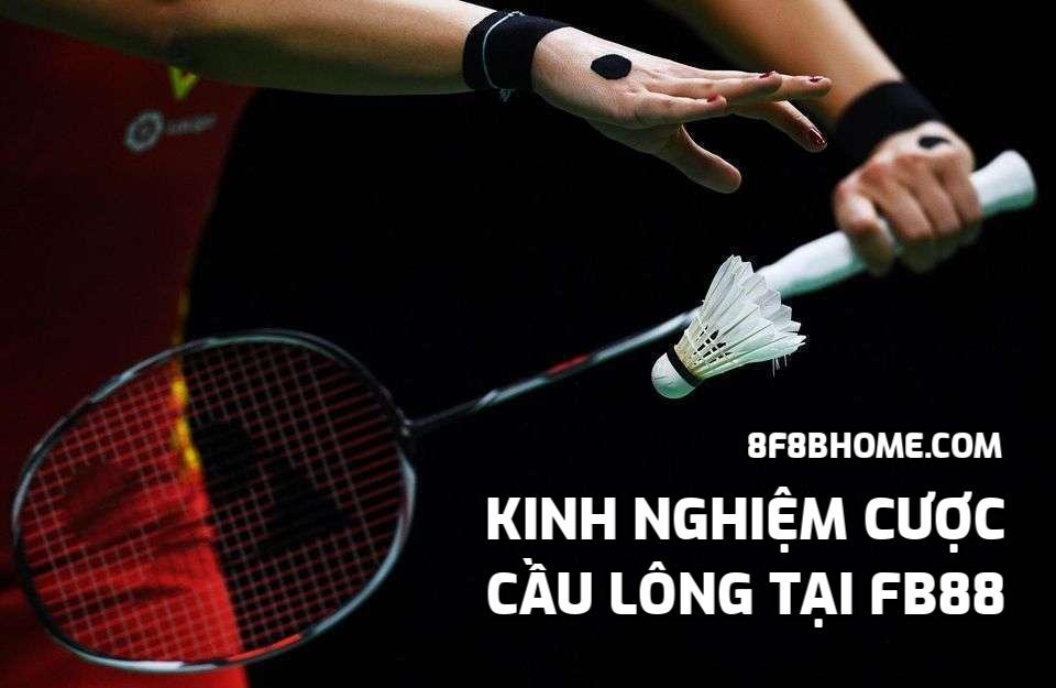 Kinh nghiệm cá cược cầu lông tại FB88