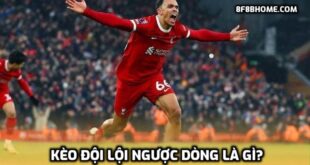 Kèo đội lội ngược dòng là gì