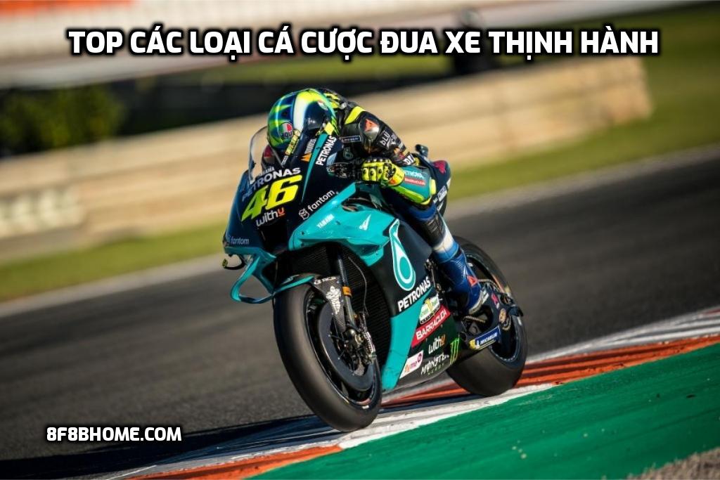 Top các loại cá cược đua xe thịnh hành