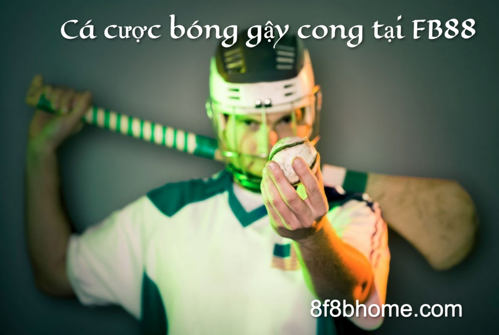 cá cược bóng gậy cong FB88
