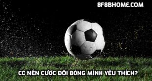 Có nên cược đội bóng mình yêu thích?