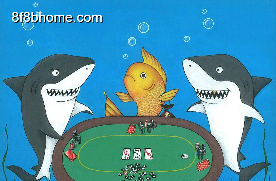 Fish thường đặt cược không có chiến thuật