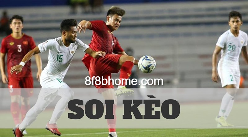 Nên soi kèo cẩn thận