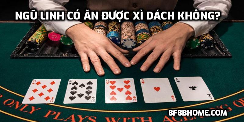 Ngũ linh có ăn được xì dách không?