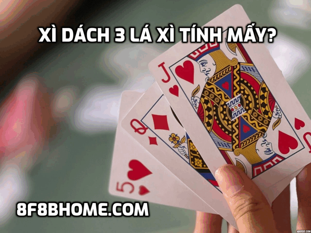 Xì Dách 3 lá Xì tính mấy?