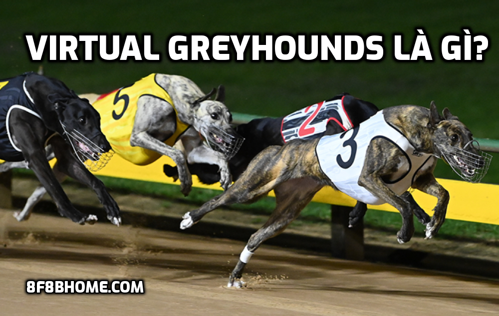 Virtual Greyhounds là gì?